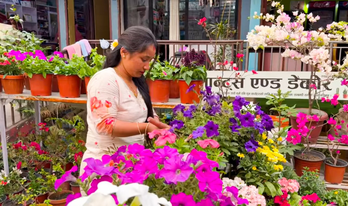 सिजनमा महिनामै २० लाखको कारोबार, फूल बेचेरै मासिक दुई लाख बचाउँछिन् सरिश्मा