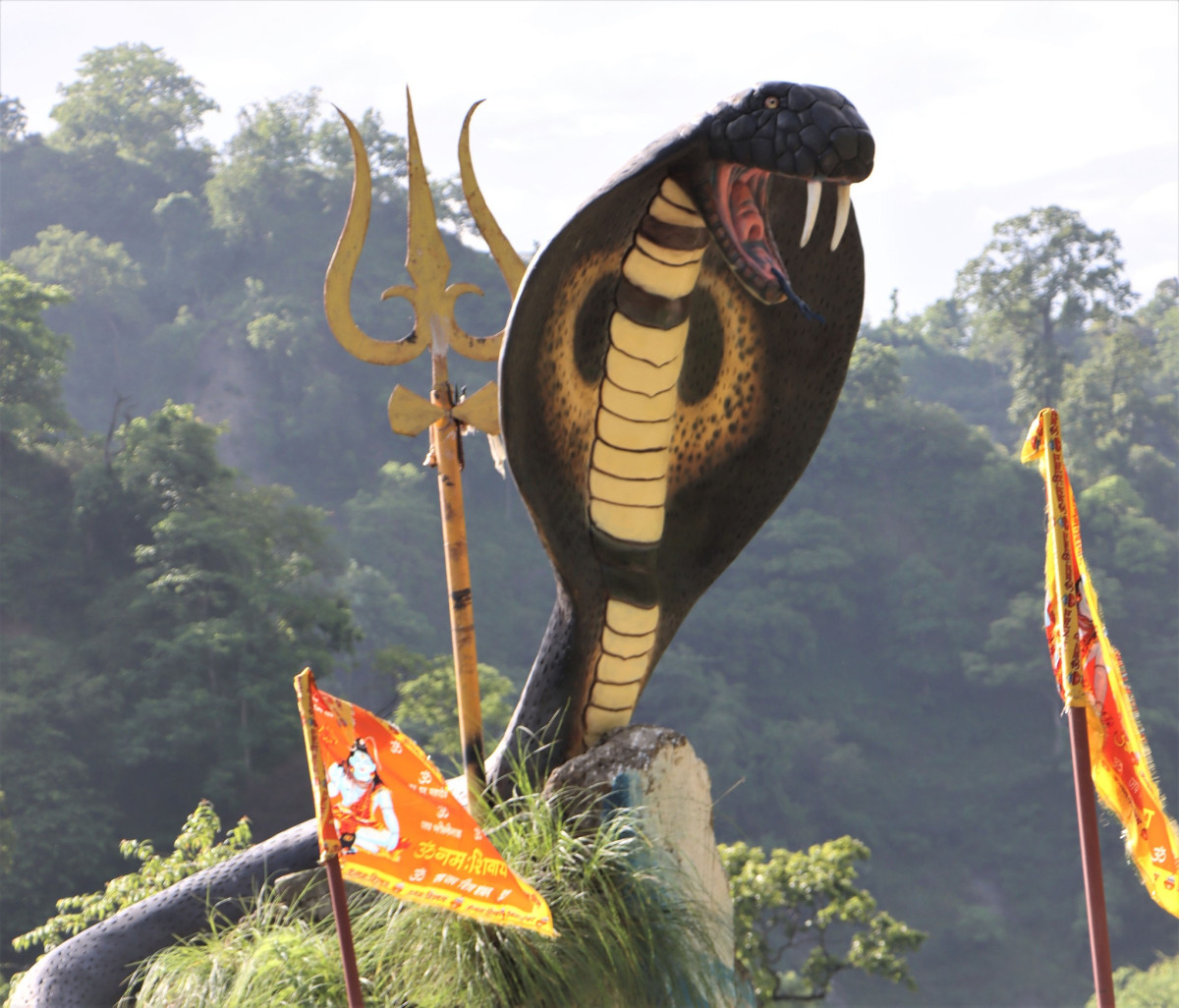 नागको प्रतिमा
