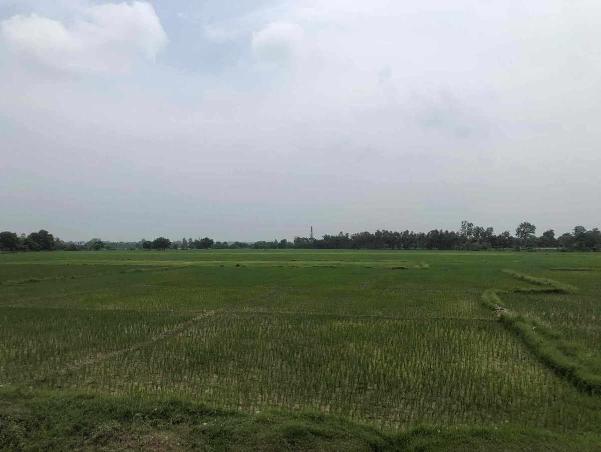 सुक्नथाले रोपो : नारायणी लिफ्टले तानेको पानी पर्याप्त भएन