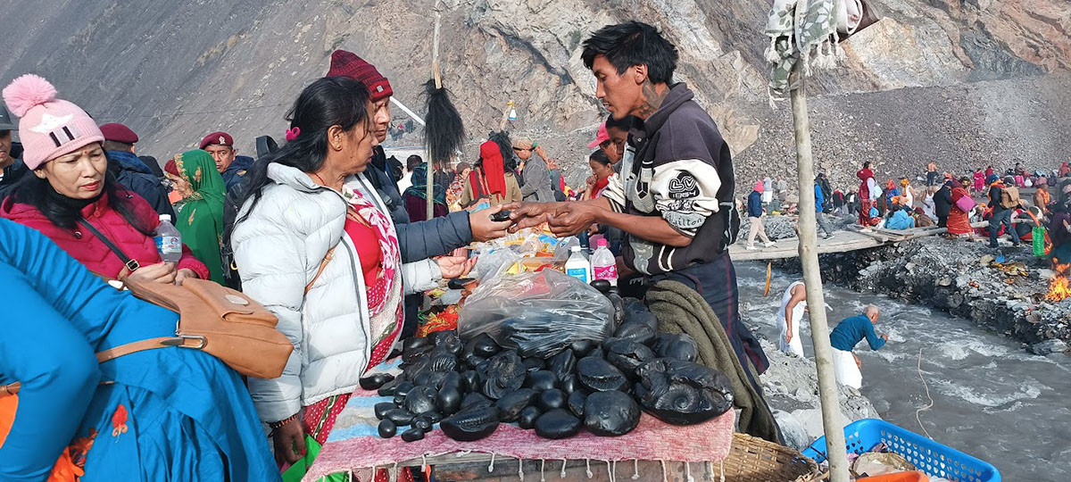 शालग्राम किनमेल