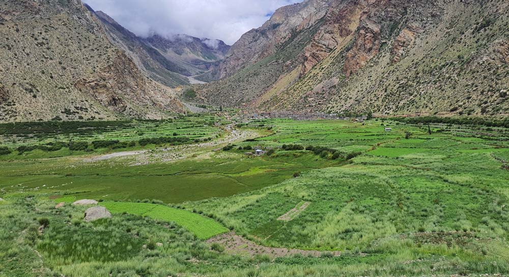 नाम्खाको लिमीमा खेतीयोग्य जमिन बाँझिने क्रम बढ्दै