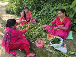 ऋषिपञ्चमीका लागि  पूजाको सामग्री तयार गरिँदै