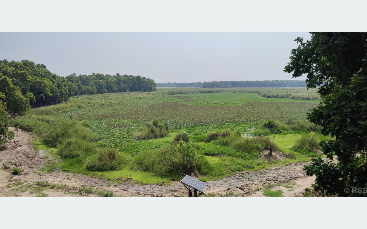 जलवायु परिवर्तनका दुष्प्रभावः सुक्दै शुक्लाफाँटा निकुञ्जका ताल