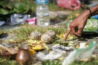 सोह्र श्राद्ध समाप्त, पशुपतिमा श्रद्धालुको पिण्डदान