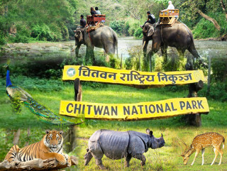 चाडपर्वमा चितवन राष्ट्रिय निकुञ्जको सुरक्षामा कडाइ
