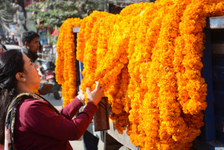 तिहारमा फूल बेच्न काठमाडौं महानगरले तोक्यो यी ठाउँ