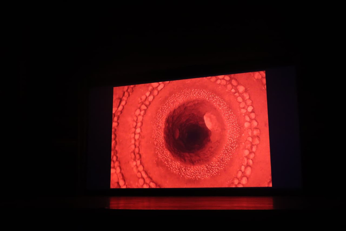 WhatsApp Image 2025-11-02 at 15.10.15_42216b3e.jpg