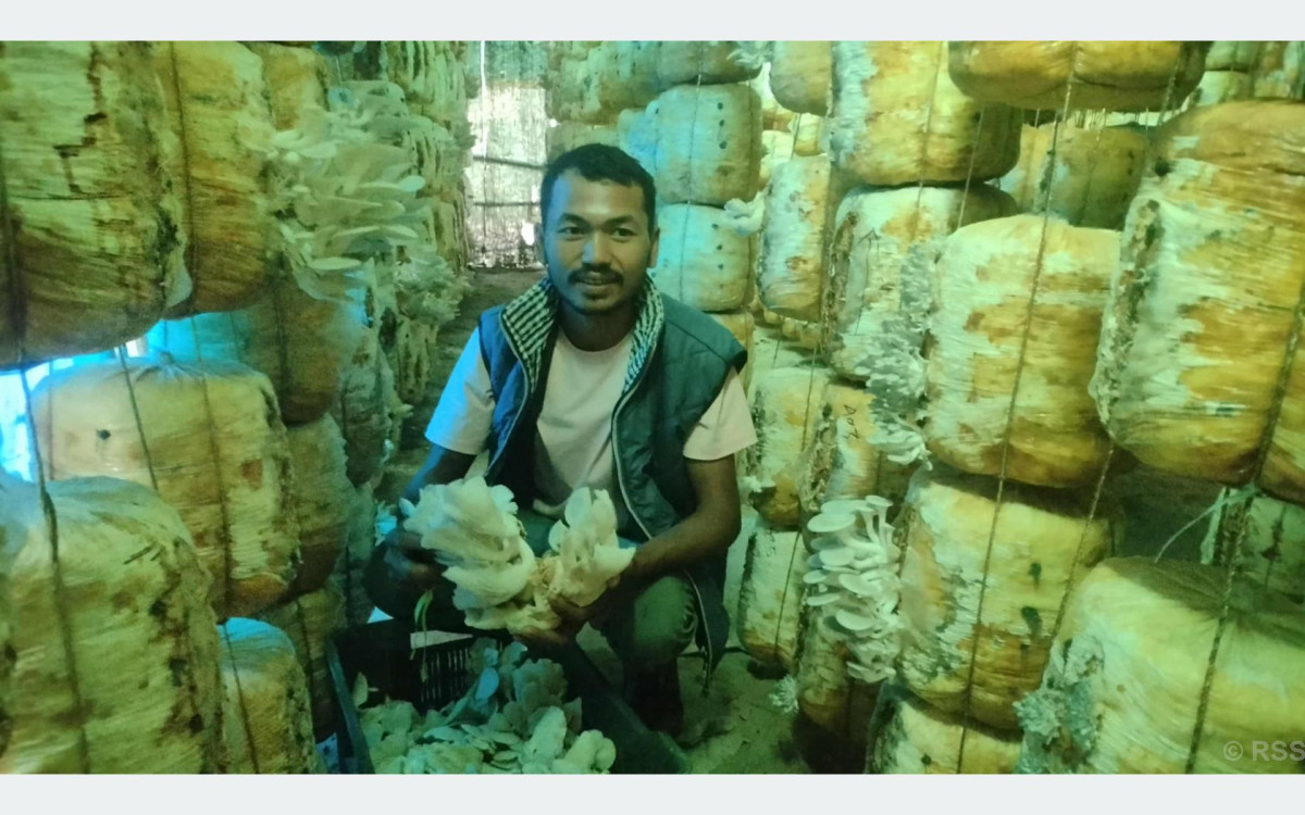 हाइटेक टनेलमा च्याउखेती गरी मनग्य आम्दानी