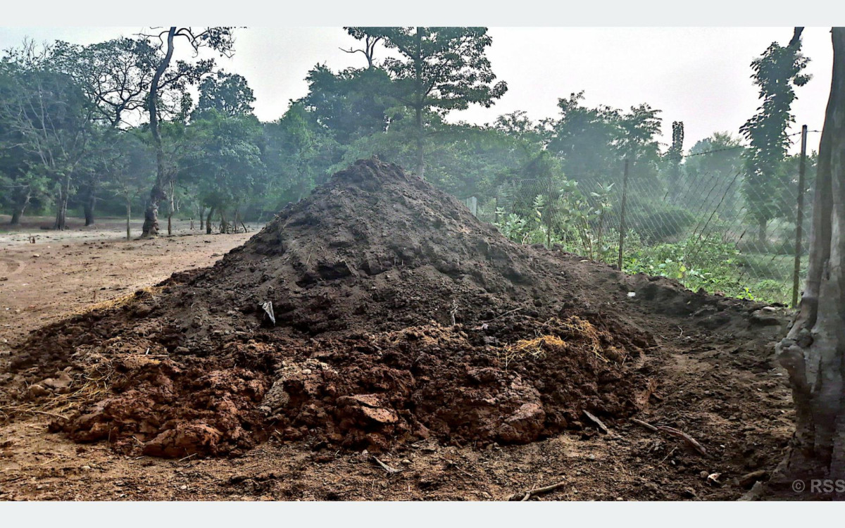 प्राङ्गारिक मलको प्रयोगले माटोको उर्वराशक्ति बढ्यो