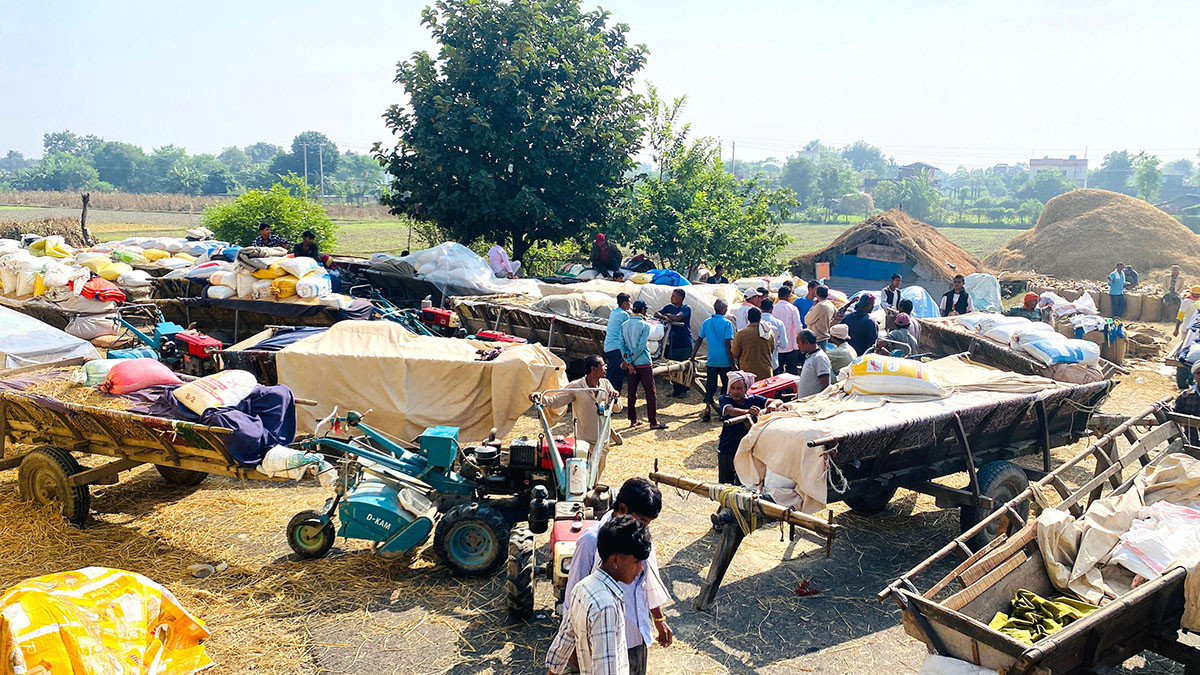 धान बेच्न किसान रातभर लाइनमा