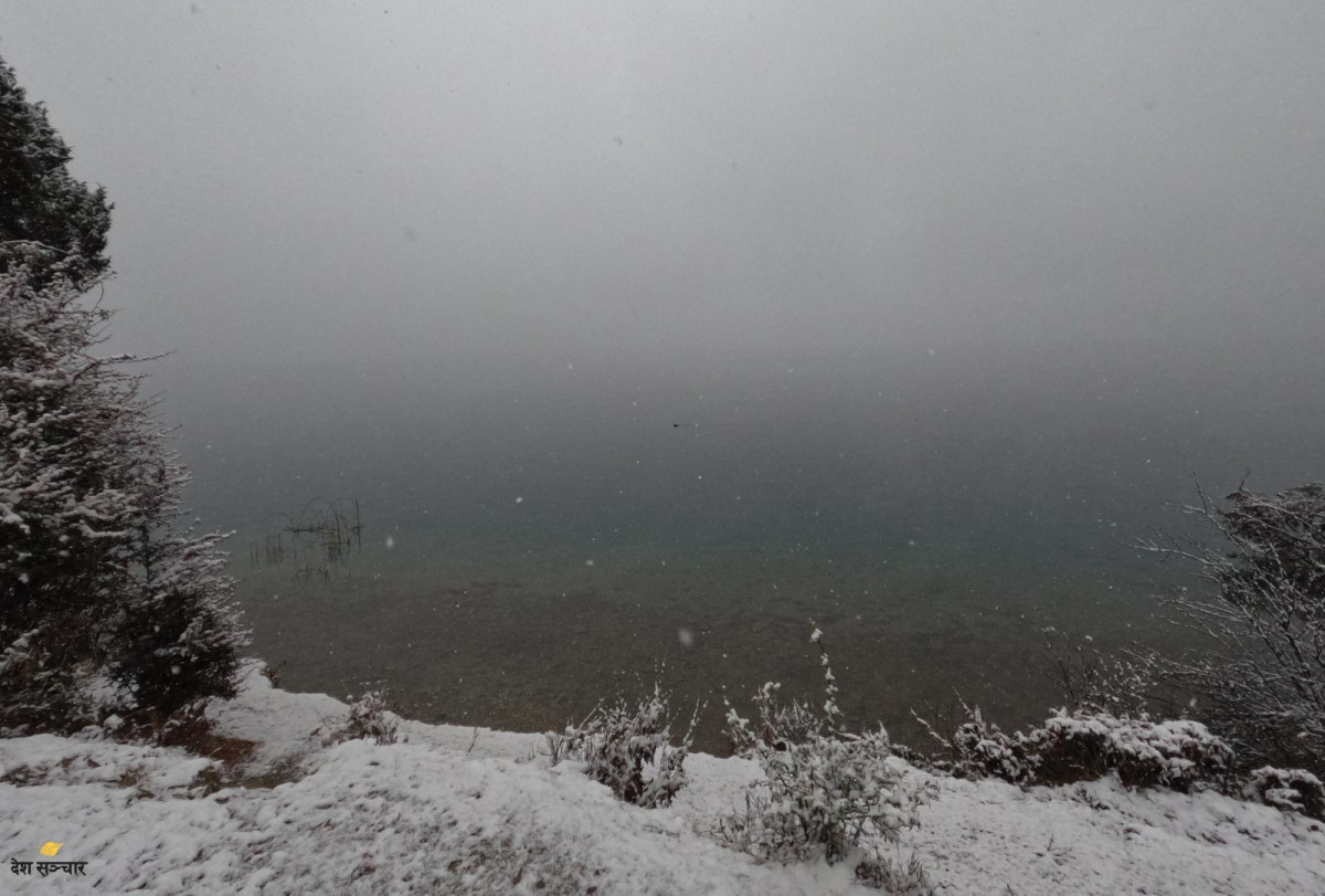 हिमपात र शीतलहरबाट ५० जिल्ला प्रभावित हुने अनुमान