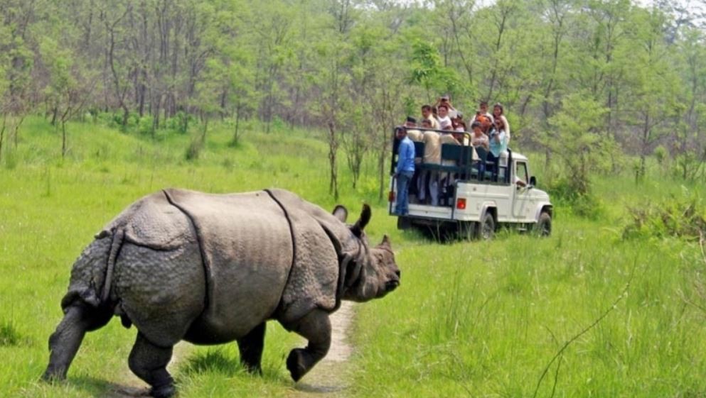चितवन राष्ट्रिय निकुञ्जमा पर्यटक आगमन बढ्यो, २७ करोडभन्दा बढी राजस्व सङ्कलन