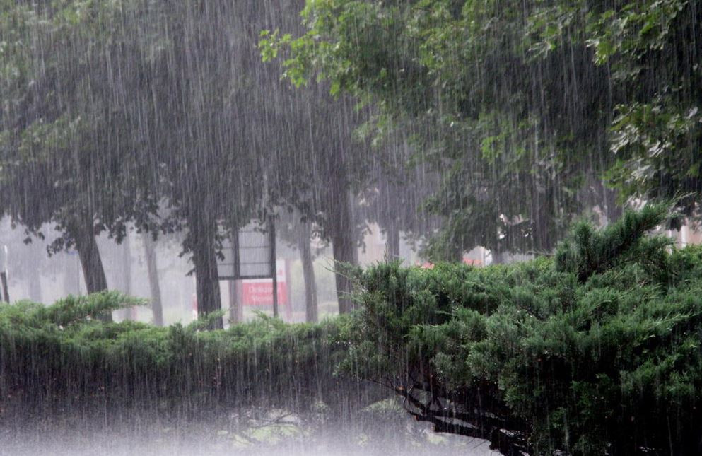 काठमाडौँसहित देशका अधिकांश स्थानमा वर्षा