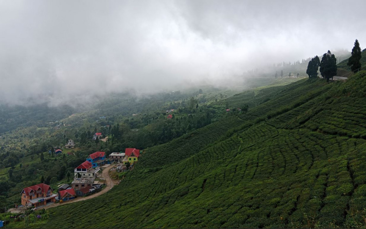 नेपाली चियाले विश्व बजारमा कहाँ कति भन्सार तिर्छ ?