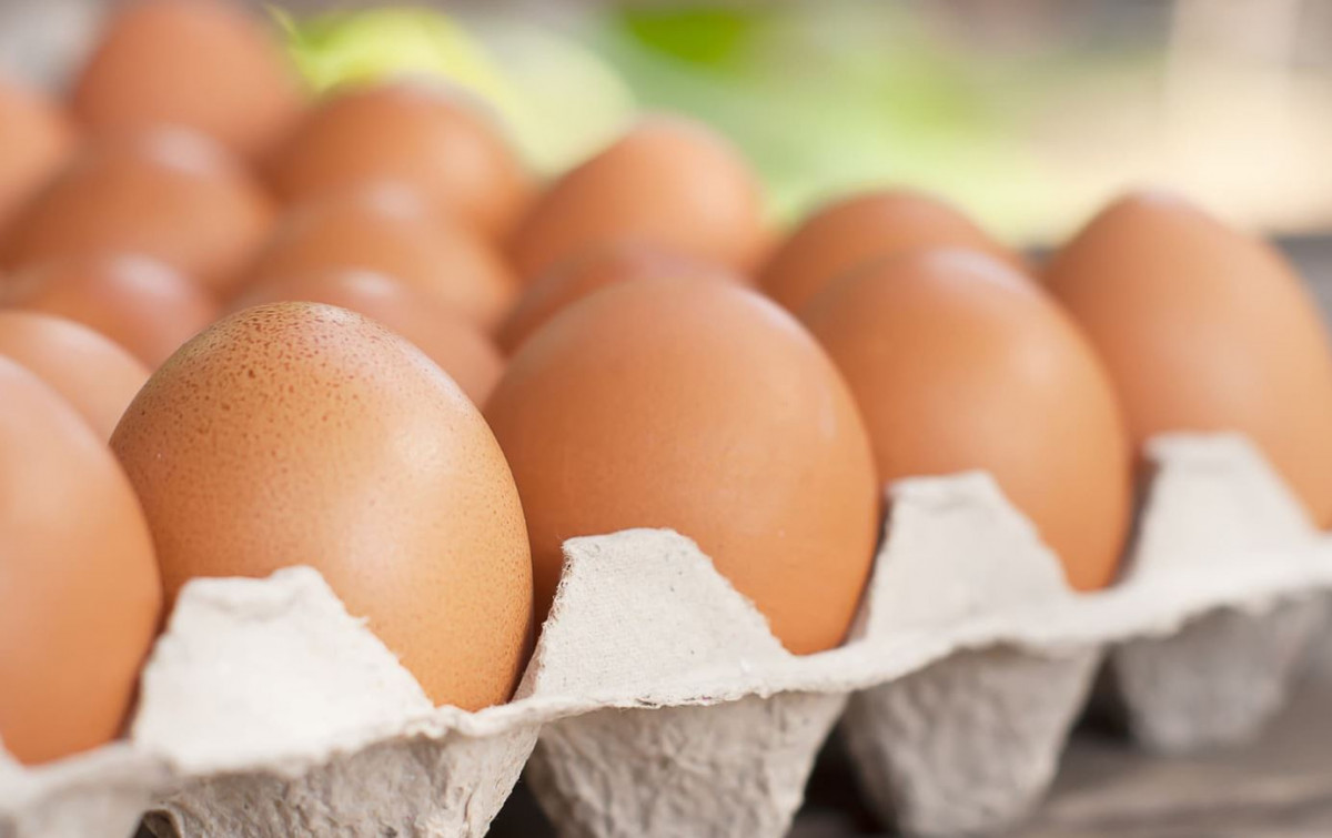 अण्डाको माग र मूल्य बढ्यो, अब प्रतिगोटा कति ?