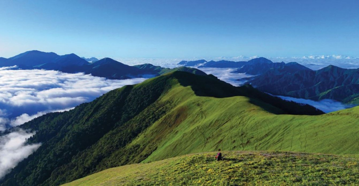 पर्यटकलाई आकर्षित गर्दै चौरीखर्क, असारमै पुगे सयौँ पर्यटक