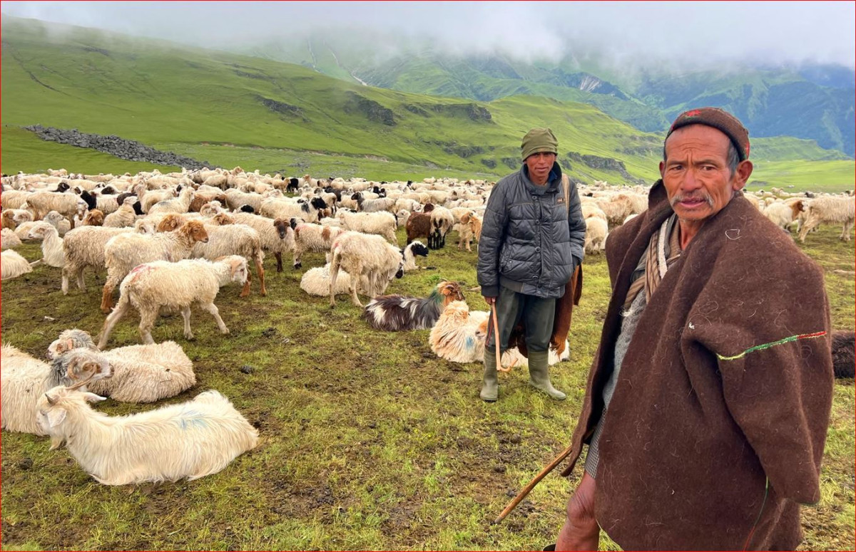 सरकार पर्खिरहेका भेडी गोठाला भन्छन् – एउटा न्यानो ज्याकेट दिए पनि लाउने थियौँ