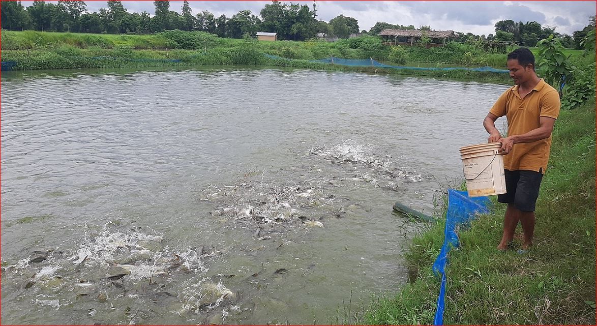 भारतबाट अवैध रूपमा भित्रिने सस्तो माछा बजारमा छ्यापछ्याप्ती, समस्यामा किसान