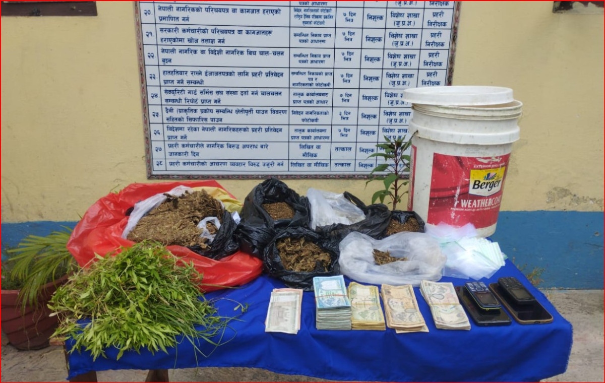 ३ किलोभन्दा बढी गाँजा सहित थिङ पक्राउ