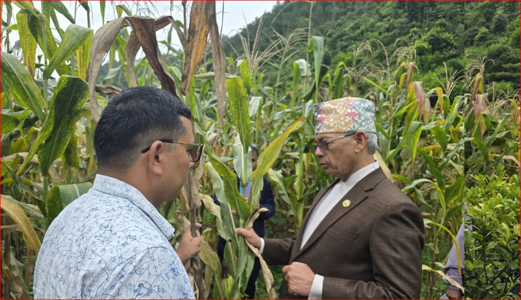 अनुगमन गर्न किसानले मन्त्री बोलाएपछि...