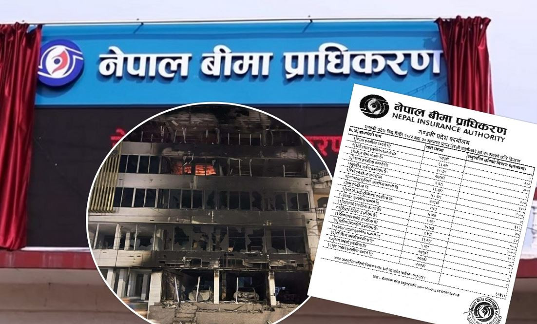 जेनजी  आन्दोलन : गण्डकीमा १ अर्ब १३ करोडको बिमा दाबी, कुन कम्पनीमा कति ?