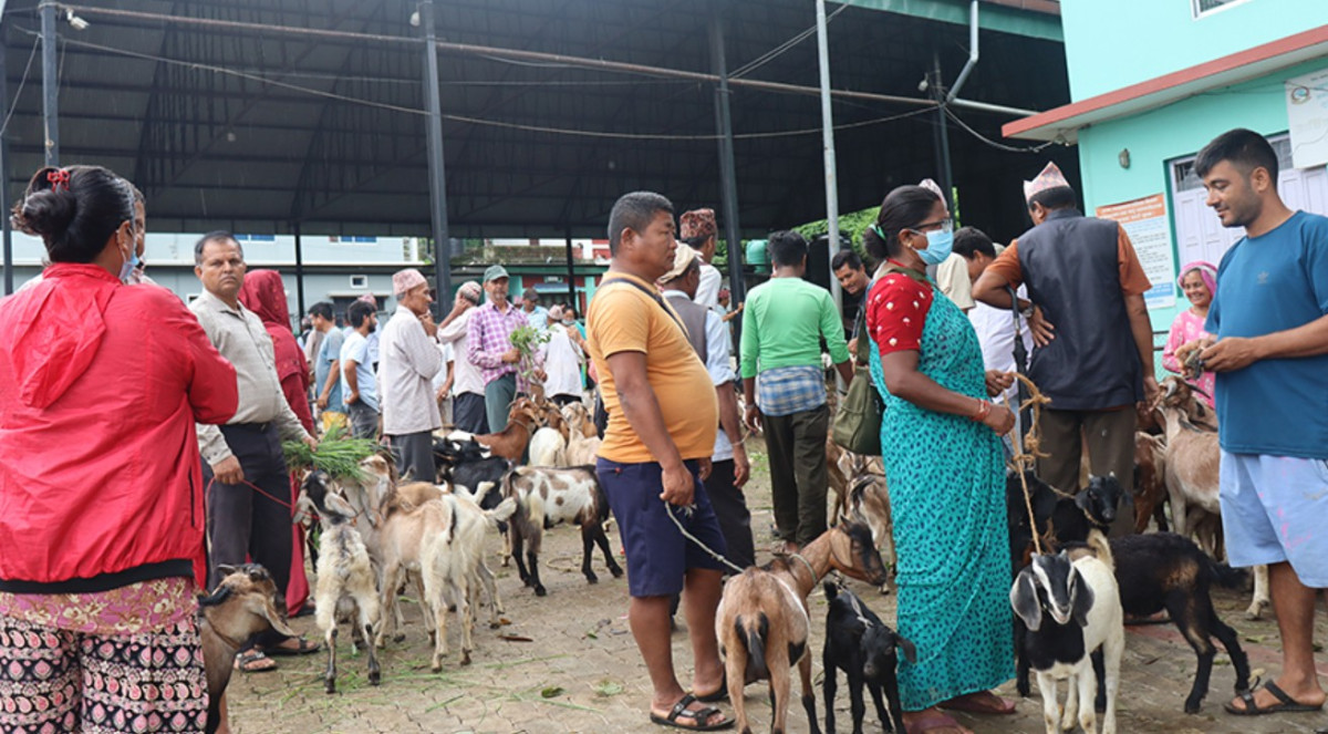 धरान कृषि बजार : किसानको आशाको ढोका, खेतीतर्फ फर्किन थाले युवाहरू