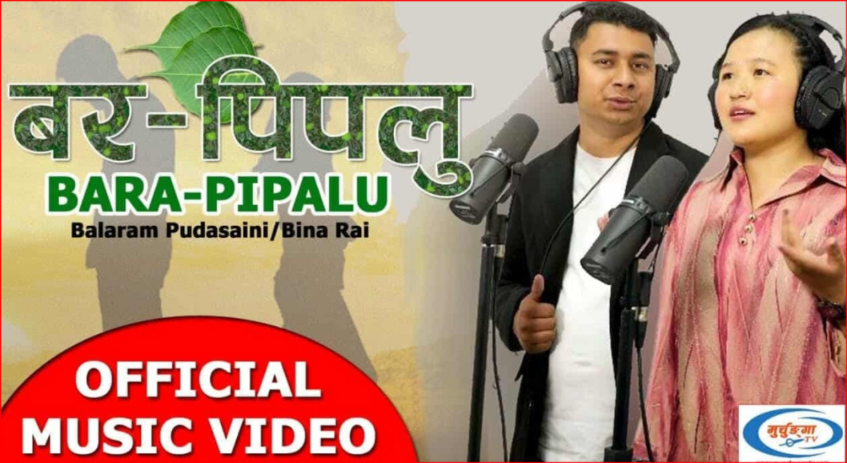 पुडासैनीको वर पिपलु सार्वजनिक