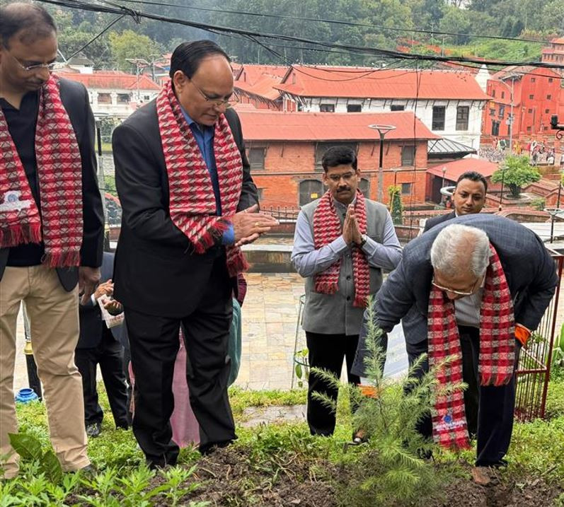 नेपाल एसबिआई बैंकद्वारा पशुपति मन्दिर परिसर, कैलाश डाँडामा वृक्षारोपण कार्यक्रम