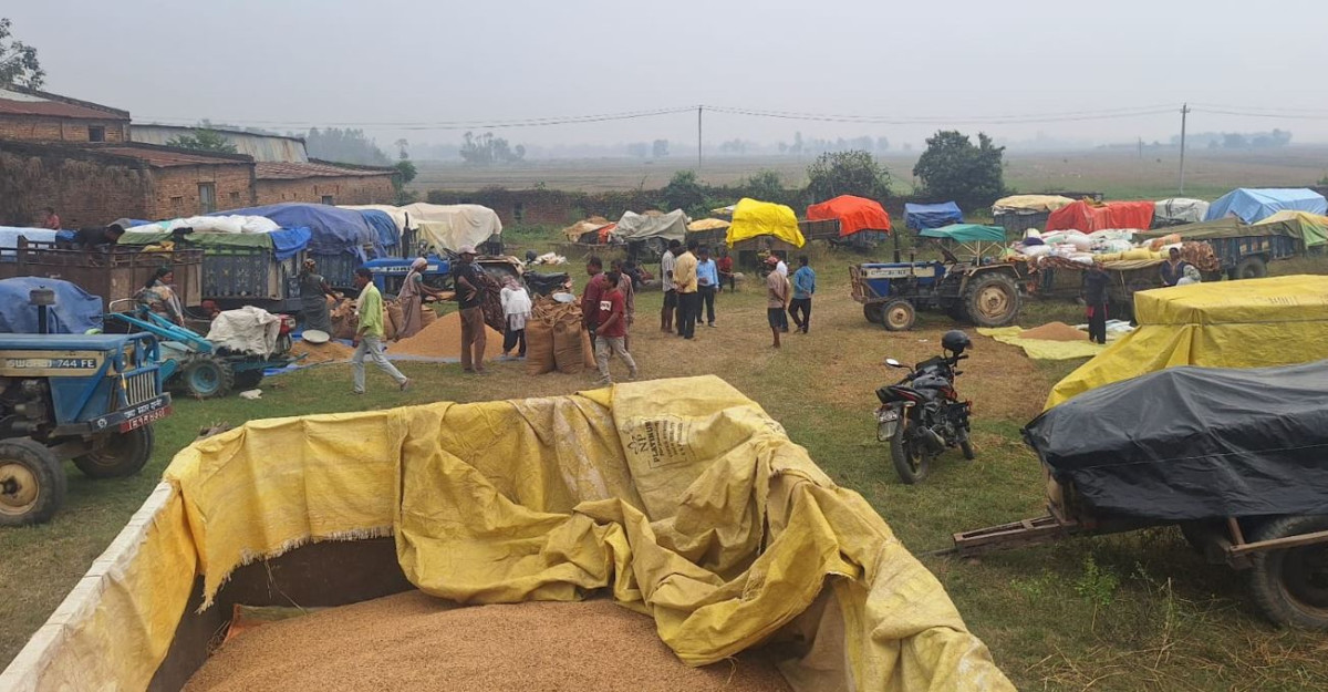 धान बेच्न किसान रातभर लाइनमा, सरकारी खरिद केन्द्रमा भीड
