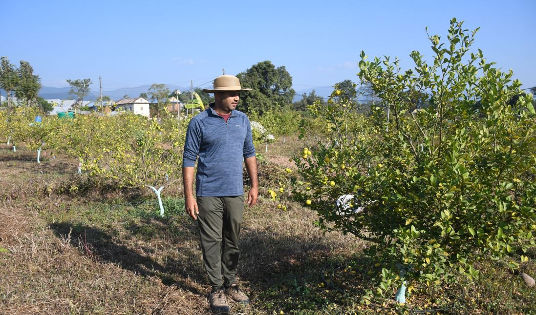 व्यावसायिक कागतीखेतीमा व्यस्त सिभिल इन्जिनियर लोहनी