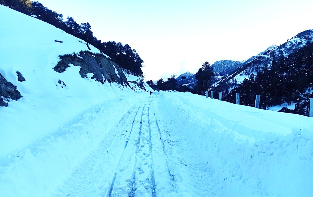 मध्यपहाडी लोकमार्ग भारी हिमपातका कारण पूर्ण रूपमा अवरूद्ध, सयौँ यात्री अलपत्र