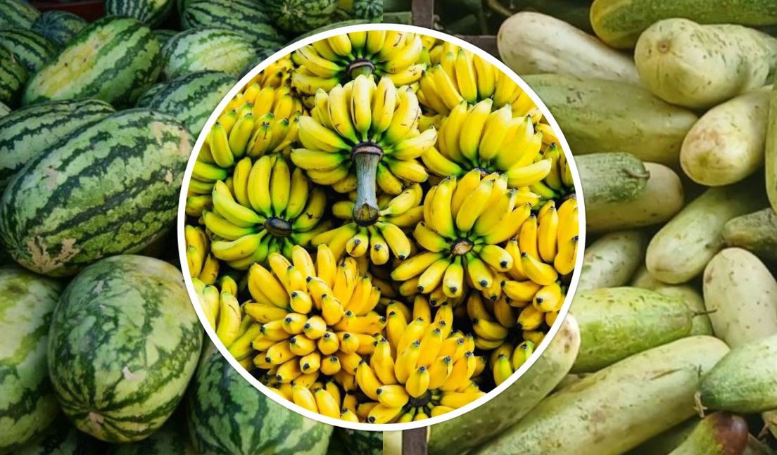 केरा, खर्बुजा र काक्राको बीउ बिक्रीबाट १२ लाख आम्दानी, दुई जनालाई रोजगारी