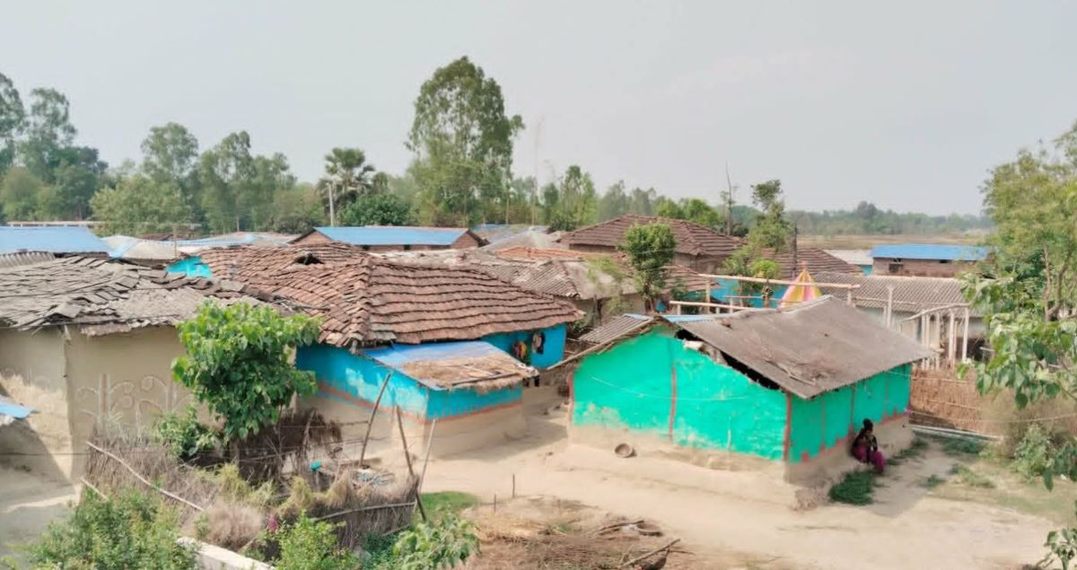 दशकअघि खुला दिसामुक्त घोषणा, मुसहर बस्ती अझै शौचालयविहीन