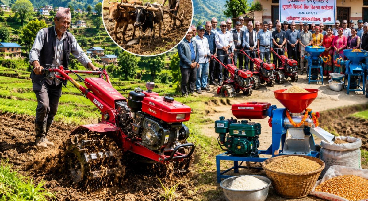 बसाइँसराइले गाउँ रित्तिँदा बदलियो खेती, गोरुको ठाउँ आधुनिक कृषि औजारले लिन थाल्यो
