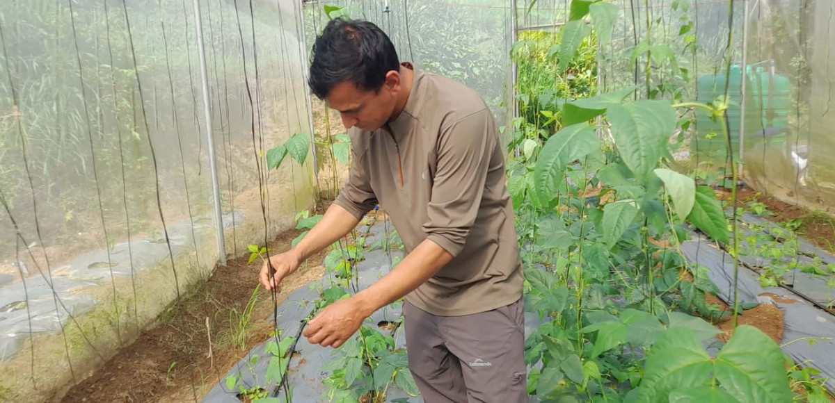 विदेश छोडेर गाउँमै सफलता : कोरियाबाट फर्किएका युवाको व्यावसायिक कृषि यात्रा