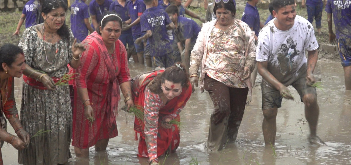 धान दिवसलाई कलाकारले बनाए थप उल्लासमय