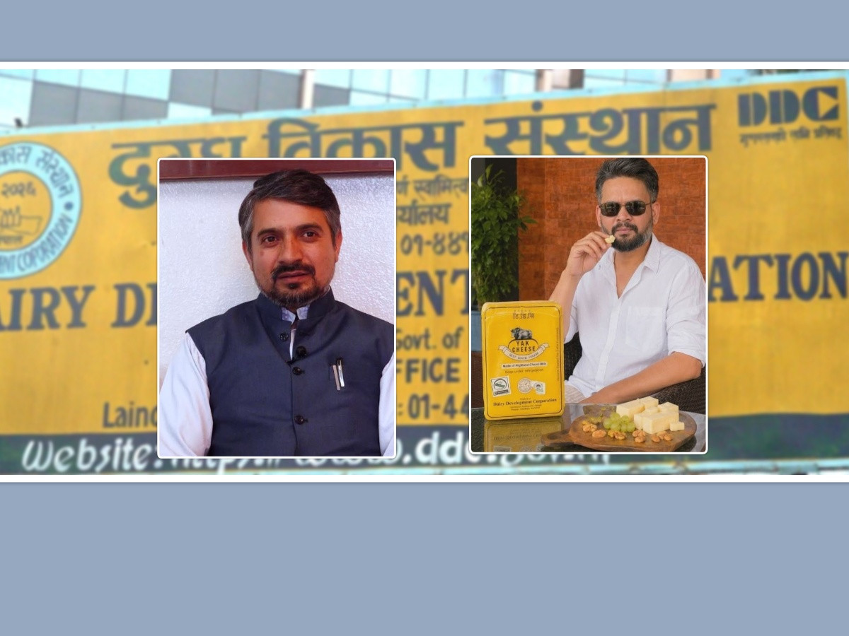 बालेनले याक चिज प्रचार गरेपछि बजारमा डीडीसीको चर्चा, नयाँ ब्रान्डिङको तयारी