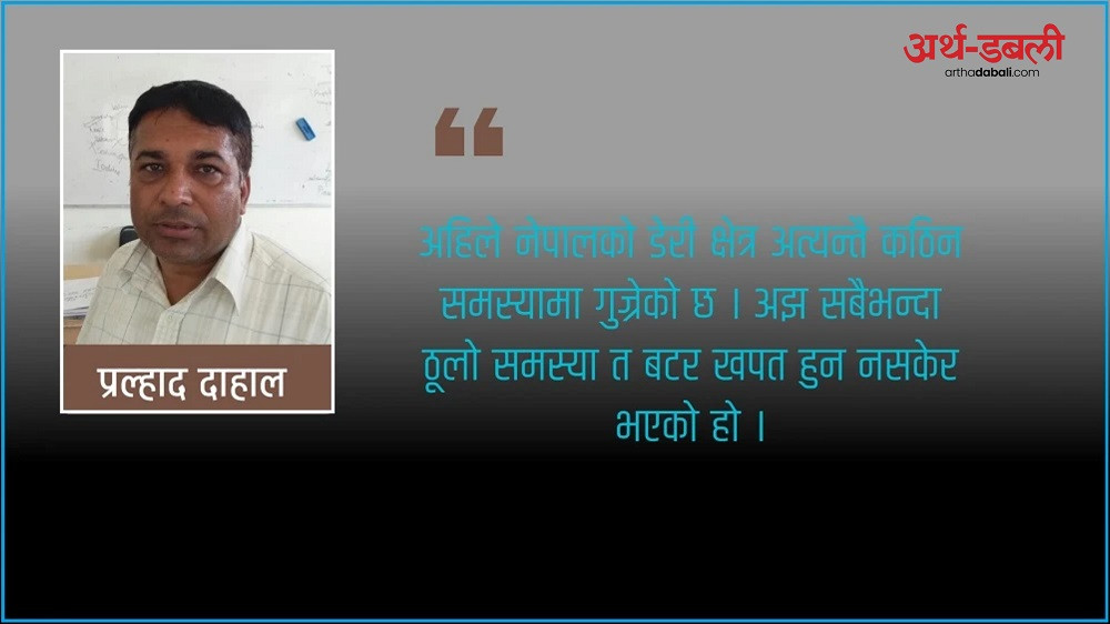 दुग्ध उत्पादन र बजारको अवस्था