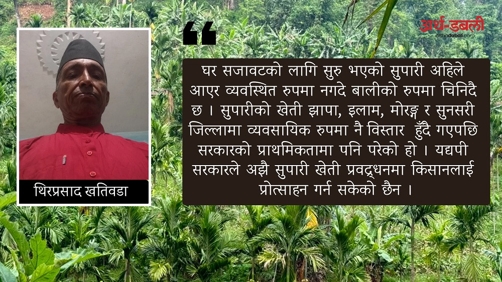 नेपालमा सुपारी उत्पादन र विस्तार