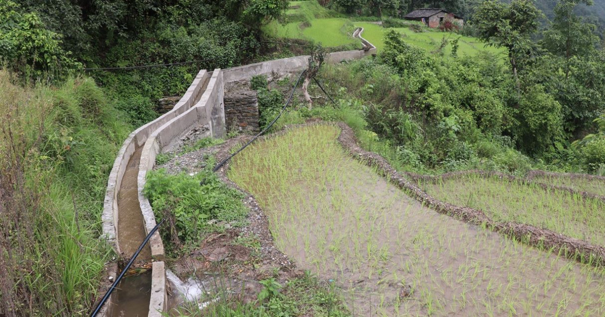 सिँचाइ सुविधा पुगेपछि आकासे पानीको भर पर्नुपर्ने समस्या अन्त्य