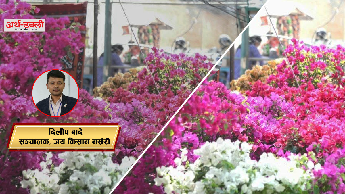 नेपालमा फ्लोरिकल्चर क्षेत्र : वर्तमान अवस्था, चुनौती र भविष्यको मार्गचित्र