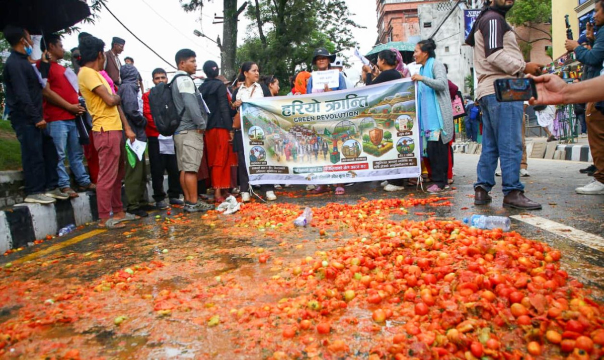 माइतीघरमा टमाटर किसानको आन्दोलनपछि कृषि मन्त्री गिता चौधरीको पहल : कालीमाटीबाट उपत्यका बाहिर ढुवानी सुरु