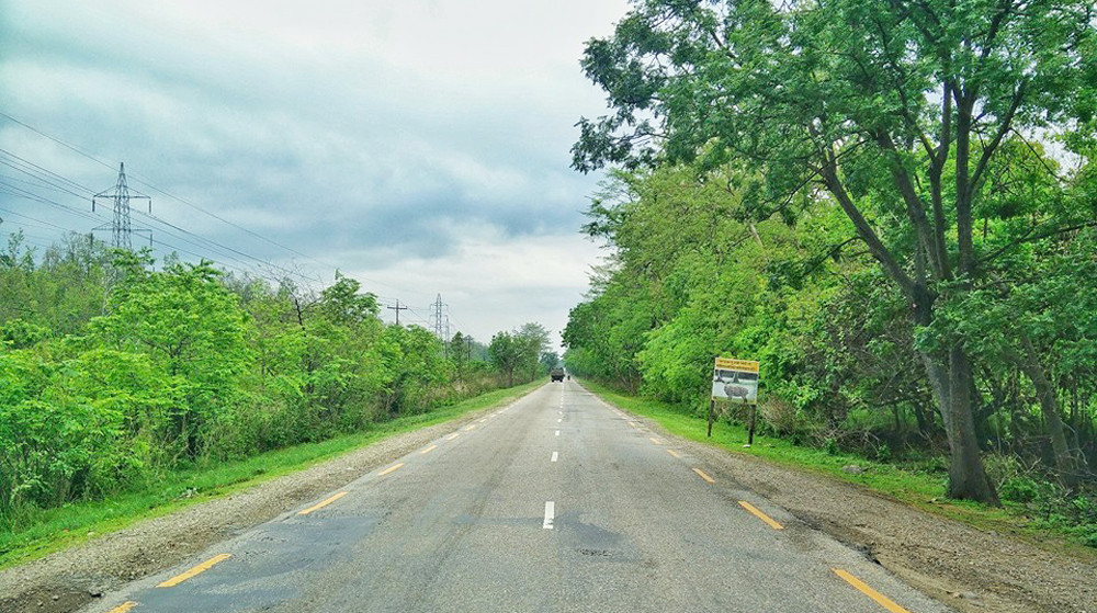 पूर्व–पश्चिम राजमार्ग विस्तार गर्न ६ हजार रुख काटिने