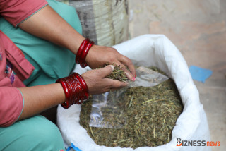 तनहुँको नारेश्वरटारमा हाटबजार सञ्चालनमा आएसँगै स्थानीय उत्पादन बिक्री गर्न सहज