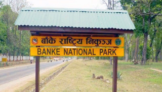 बाँके राष्ट्रिय निकुञ्जमा पर्यापर्यटन प्रबर्द्धन गर्नुपर्नेमा जाेड