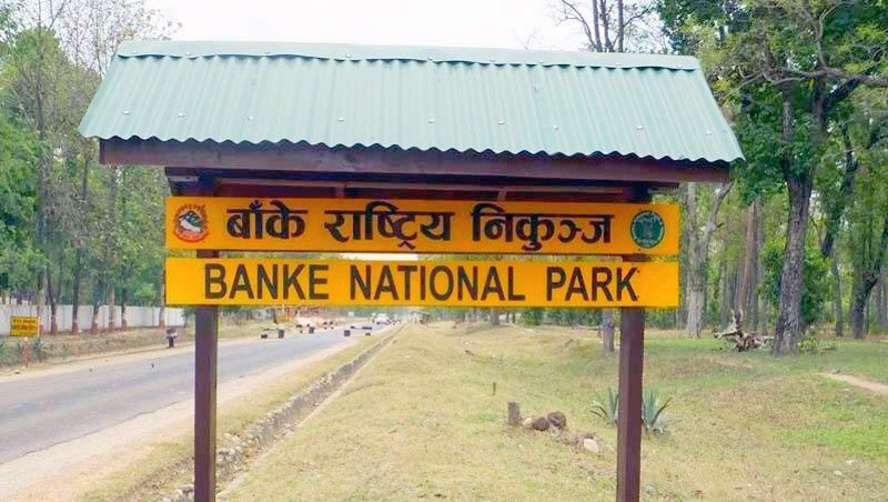 बाँके निकुञ्जमा बढे पर्यटक