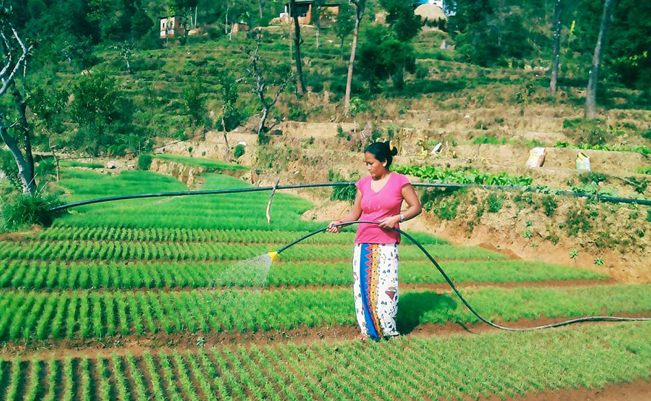 उदाहरणीय कर्म गर्दैछिन् 'कृषि गाउँ'की लक्ष्मी