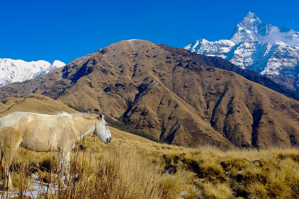खुमैडाँडामा बढे पर्यटक