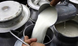 दूधको पैसा किसानलाई दिन व्यवसायीको मनोमानी, भुक्तानी माग्दा उठाउनै छोड्छन् दूध