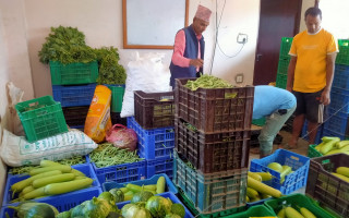 शनिबार कुन तरकारी र फलफूलको मूल्य कति?